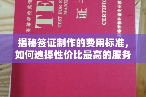 麻山揭秘签证制作的费用标准，如何选择性价比最高的服务？