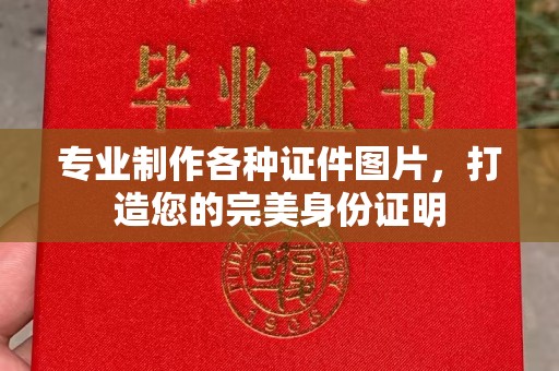 麻山专业制作各种证件图片，打造您的完美身份证明